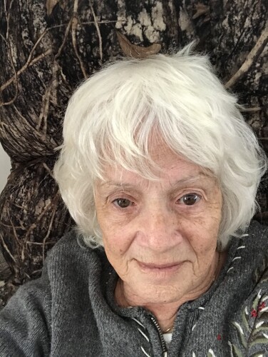 Barbara Smith Profile