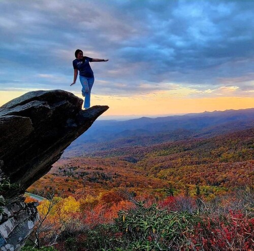 Amanda Williams Profile