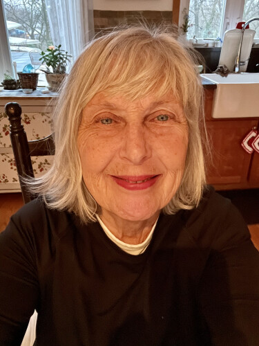 Nikki Dahlin Profile