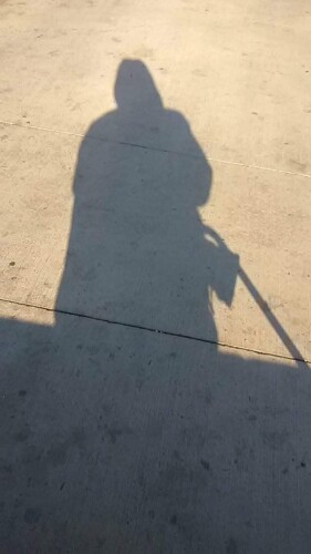 Bradley Weiner Profile