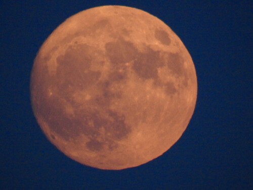 Roció Costello Profile