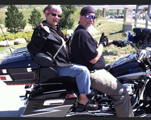 bonnie stout Profile