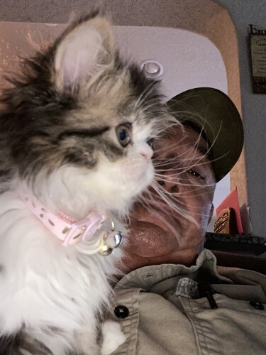 Pedro Gonzales Profile