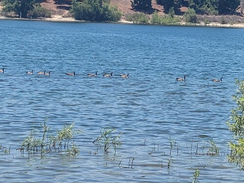 catherine stines Profile