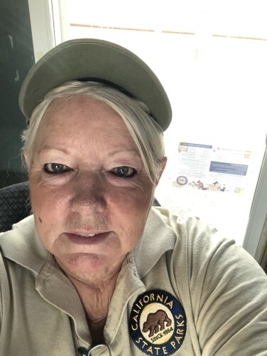 Laurie miller Profile