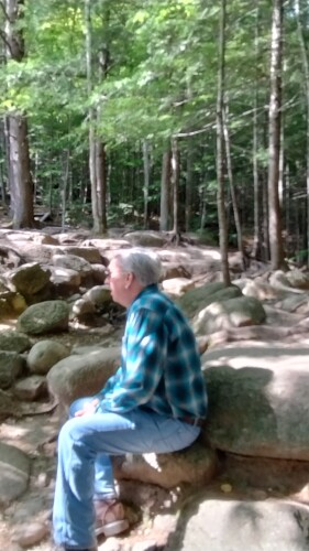 Silvia Carolann Profile