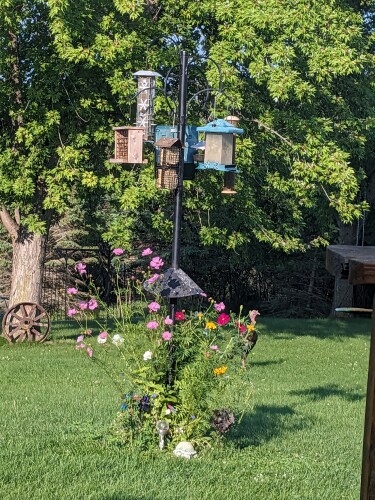 Debbie Nelson Profile