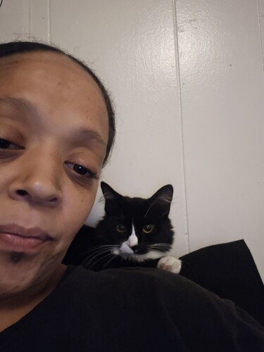 Danielle Falcone Profile