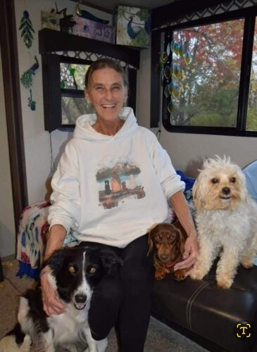 Denise Livingston Profile