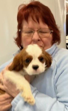 ARISTIA Partiss Profile