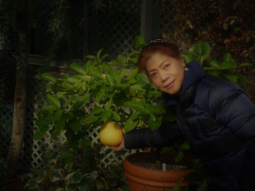 Lesilda Intal Profile