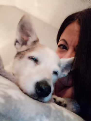 Donna Bielecki Profile