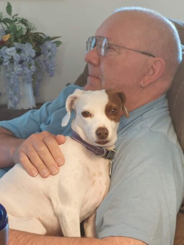 Dwight  James Moyer Profile