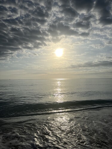 Marisol Montalba Profile