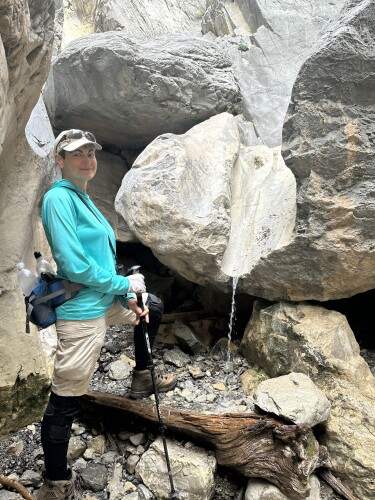 Jill Levickas Profile