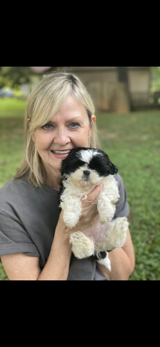 Belinda Pittman Profile