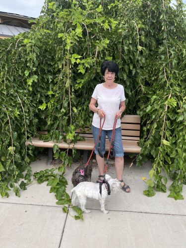 Bonnie Rhude Profile