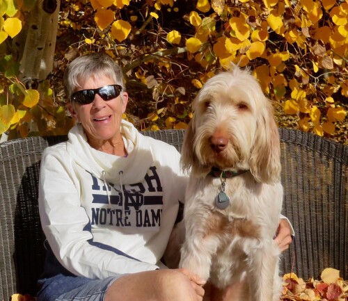 Karen Kowals Profile