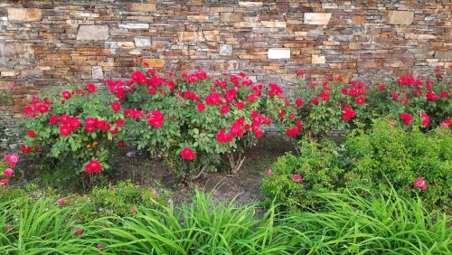 Sughandhisri Krishna moorthi Profile