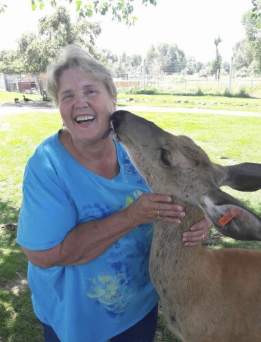 Debbie Schmit Profile