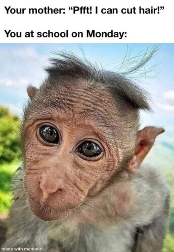 Victor Perry Profile