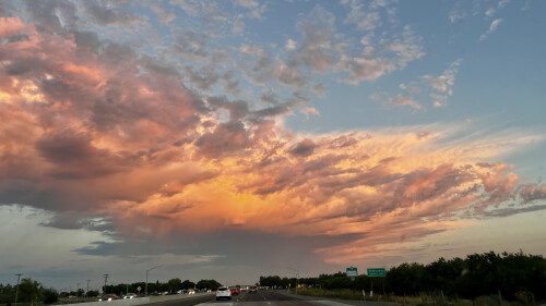 Nelson Santos Profile