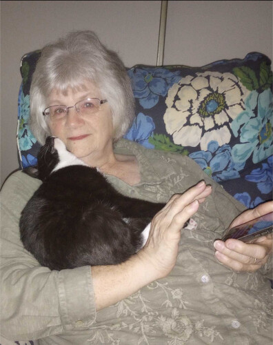 Diane Wirkkala Profile