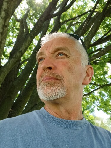 Steve Stephenson Profile