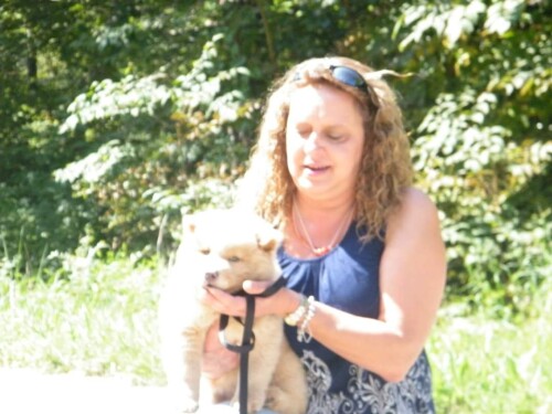 Kim Lamertina Profile