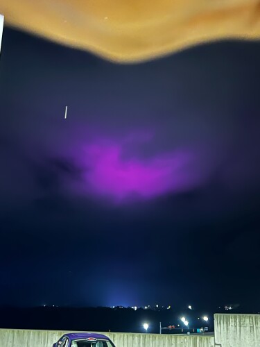 Lindalee Surber Profile