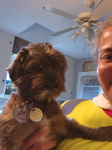 Adelina Macaluso Profile