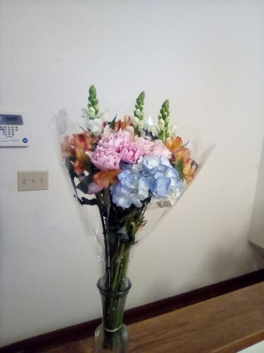 Marcia swanson Profile