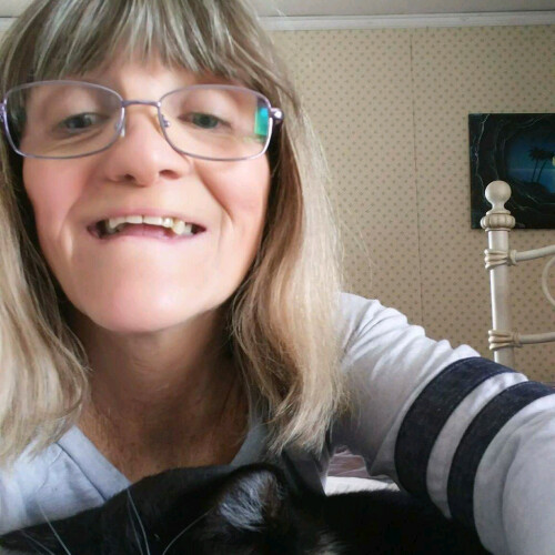 Elizabeth Bouffard Profile