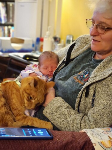 Karen Giannattasio Profile