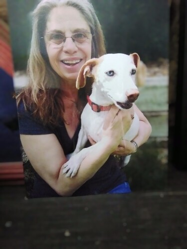 Laurie Saiontz Profile