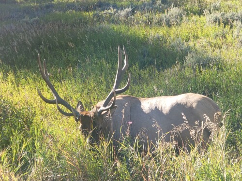 Teresa Orozco Profile