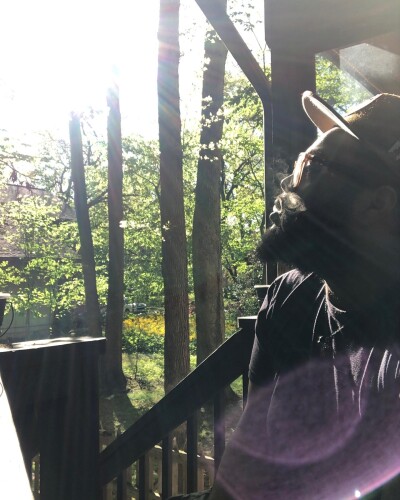 Kevin Lee jr Profile