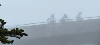 Daranee Doll Profile