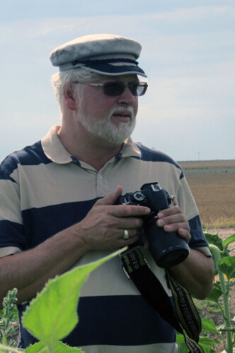 Tony Pacelli Profile