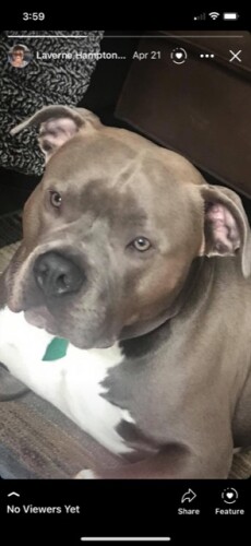 Laverne Davis Profile