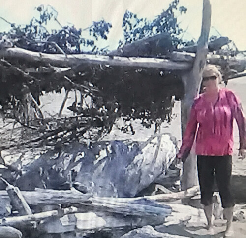 Teresa Ragan Profile