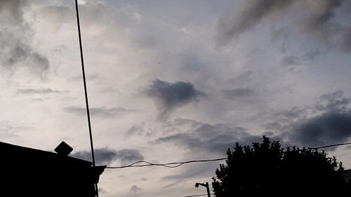 Melissa Grateful Profile