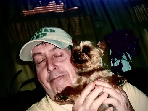 Joseph Ronan Profile