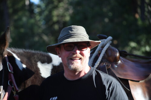 Donald Nichols Profile