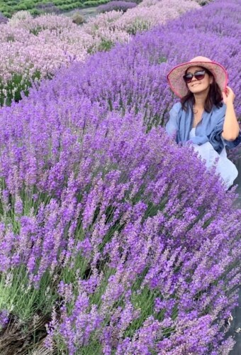 Rosa Nacional Profile