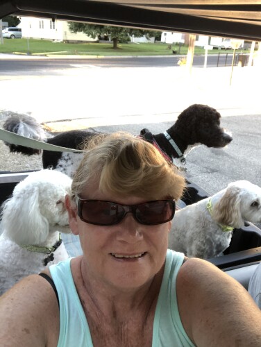 Patty Marana Profile