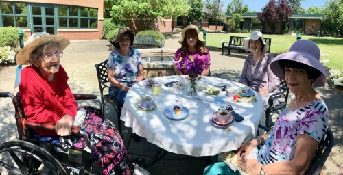 Teddi Seabrooks Profile