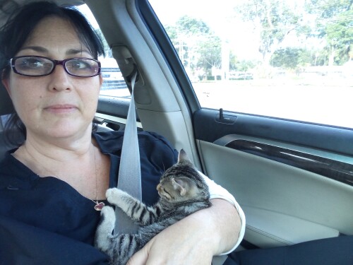 Cindy Ronning Profile