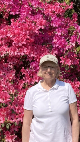 Pamela Quinlan Profile