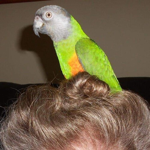 Kimberly Denney Profile